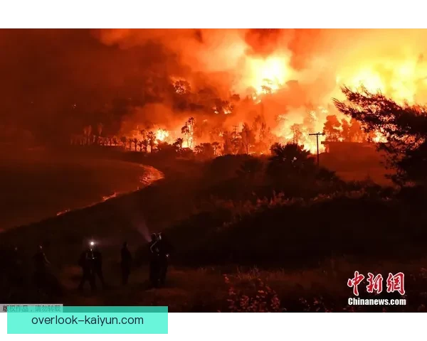 开云体育注册全程指南快速入门安全保障与优质服务体验