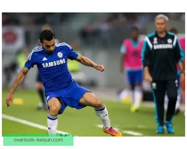 佛罗伦萨俱乐部冬窗引援布局与赛季冲刺前景解析全面观察与深度剖析