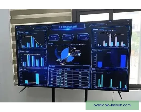 开云入口引领数字化转型助力企业创新发展与行业升级