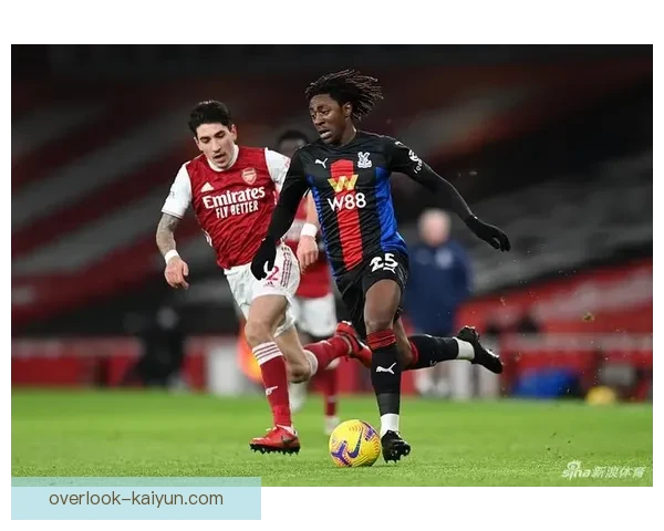 水晶宫俱乐部百年征程与英超荣耀复兴之路探索传奇风云与未来蓝图