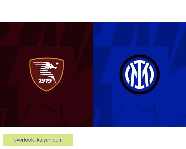 萨勒尼塔纳俱乐部的辉煌历程与未来展望：意甲球队的崛起与挑战