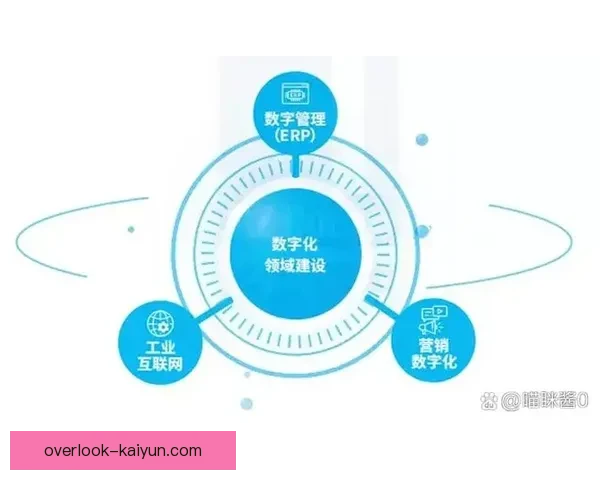 围绕开云首页打造智能体验与创新服务引领未来数字平台发展新格局