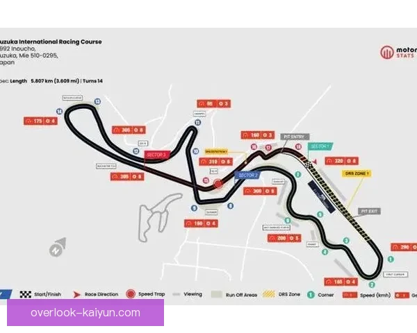 F1赛季最新动态：车队战术调整与赛道表现全解析