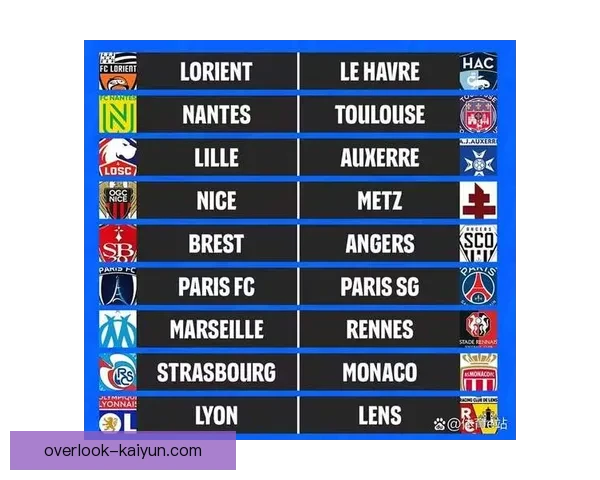 法国足球甲级联赛发展历程与未来趋势分析