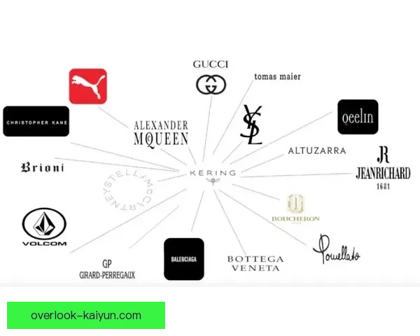 开云集团全球布局与创新战略解析及未来发展趋势展望